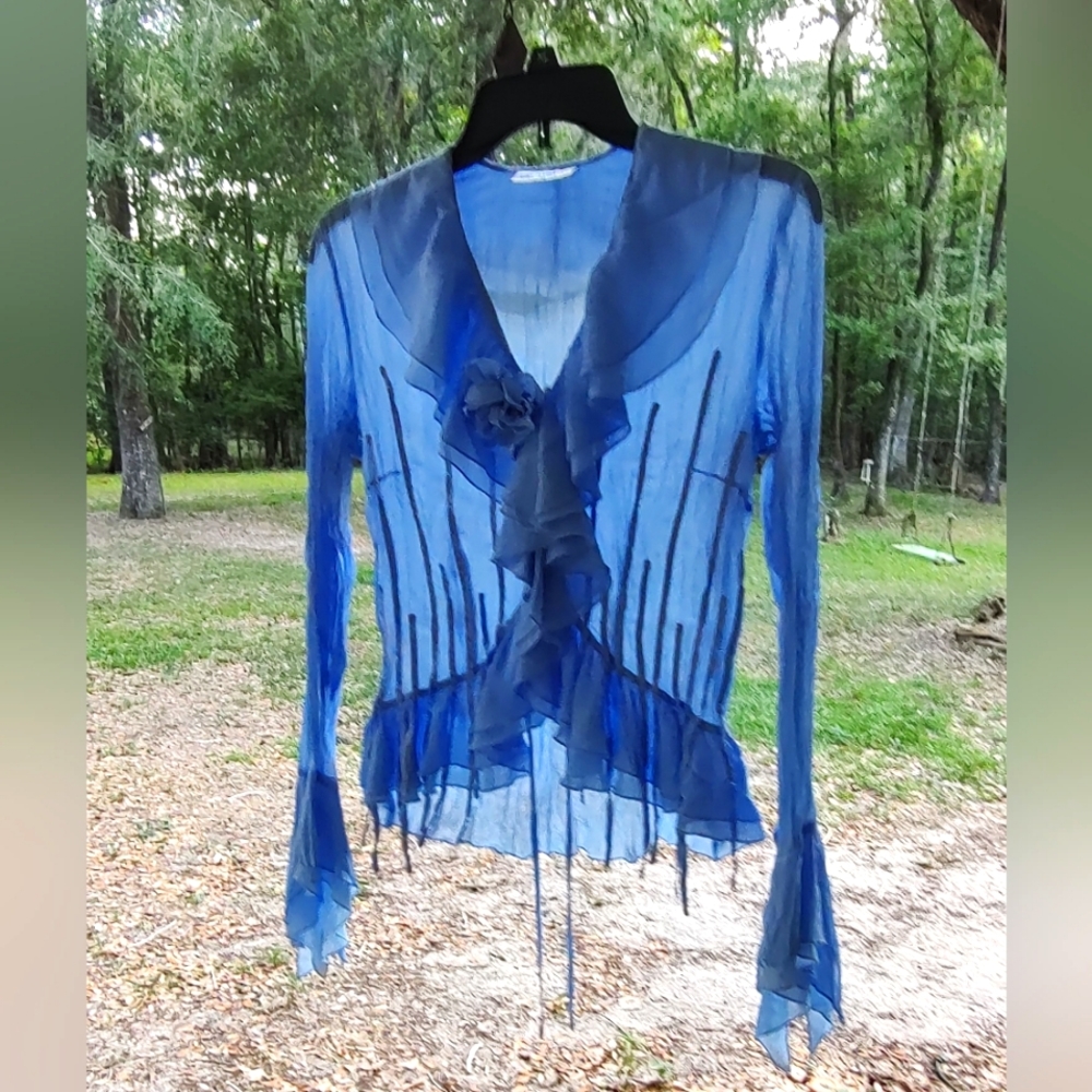 Blue sheer blouse size 12